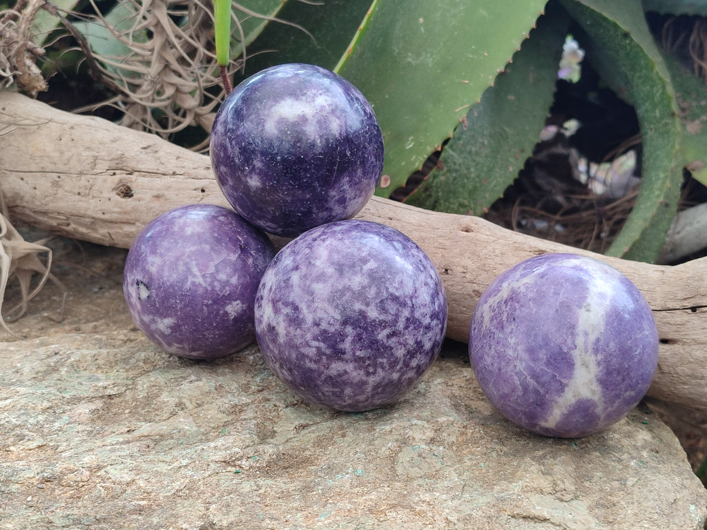 Polished Lepidolite Sphere's x 4 From Zimbabwe - Toprock Gemstones and Minerals 