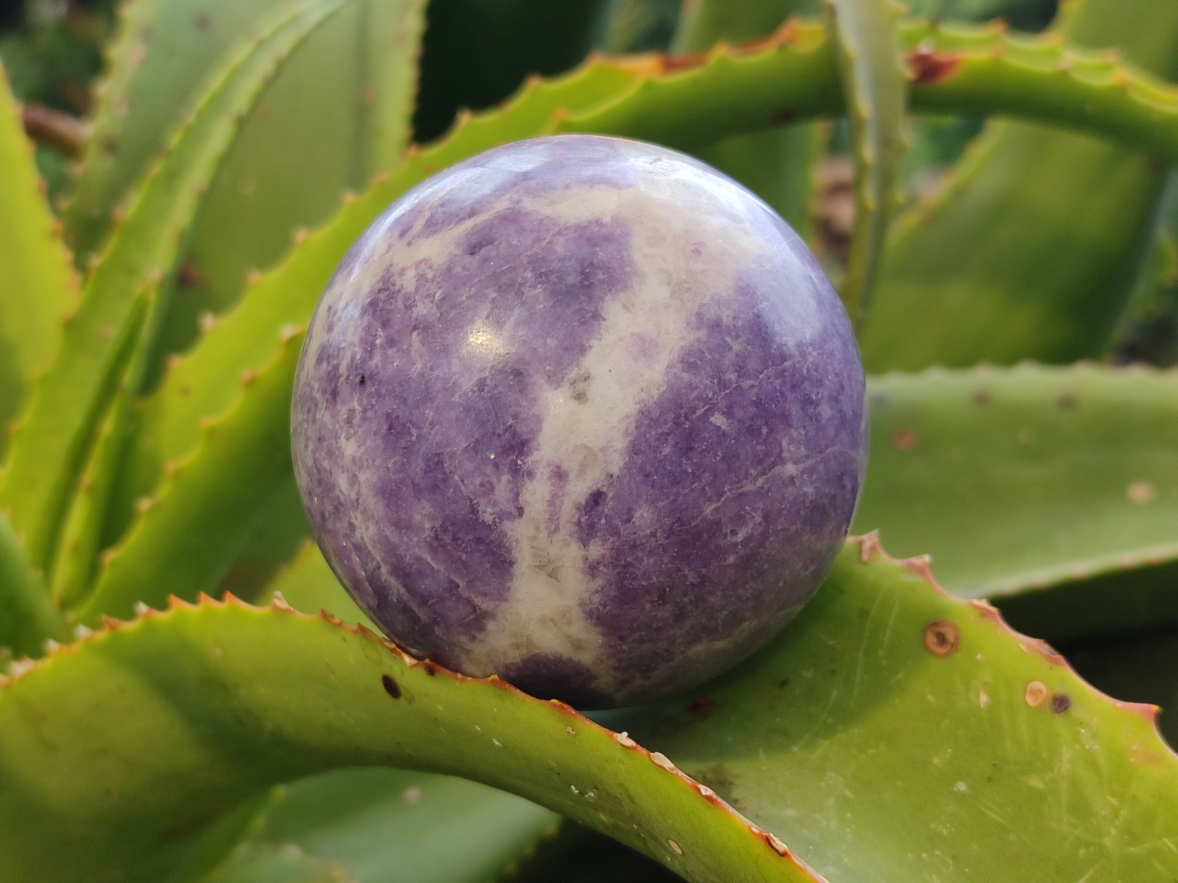 Polished Lepidolite Sphere's x 4 From Zimbabwe - Toprock Gemstones and Minerals 