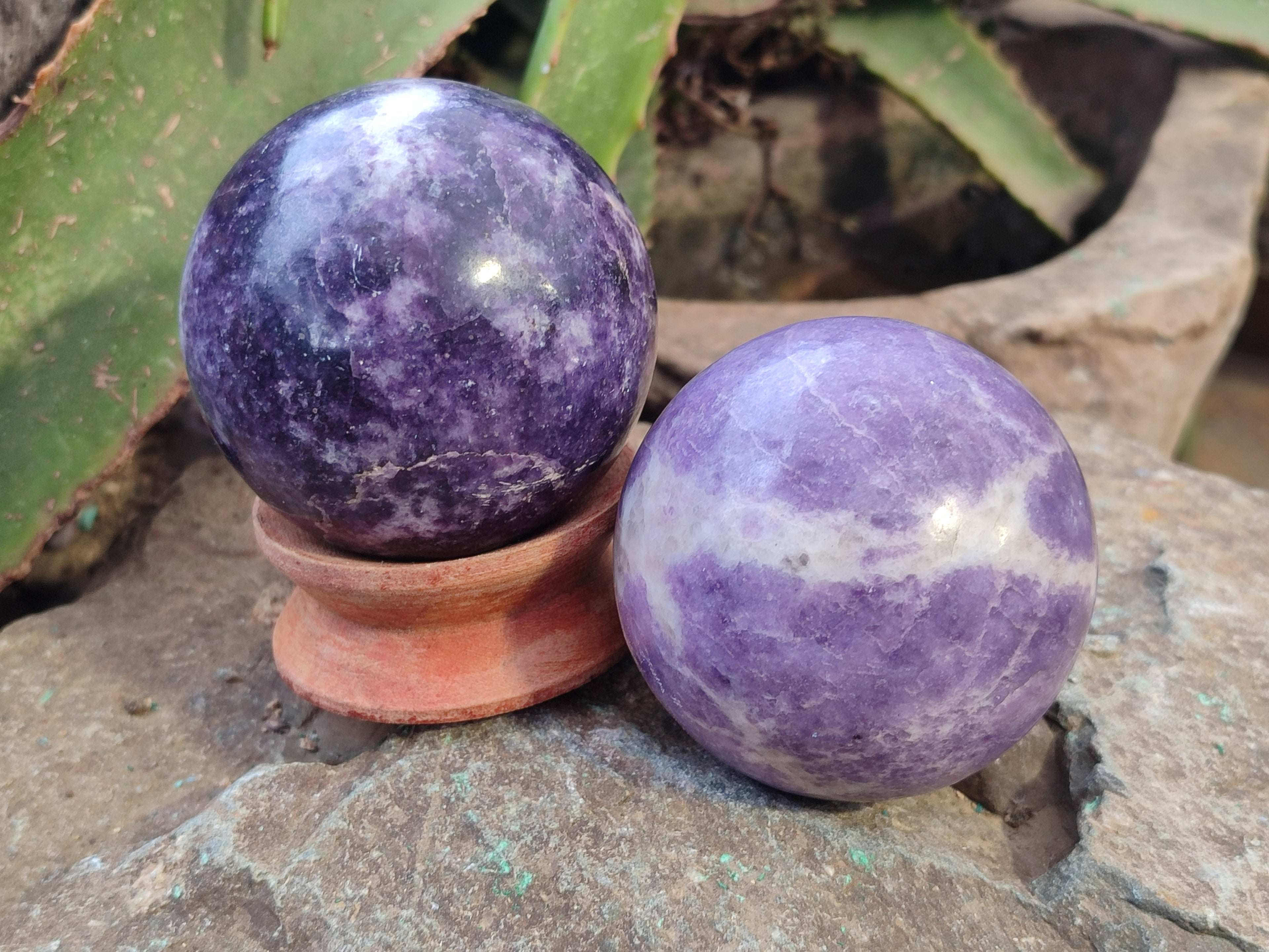 Polished Lepidolite Sphere's x 4 From Zimbabwe - Toprock Gemstones and Minerals 