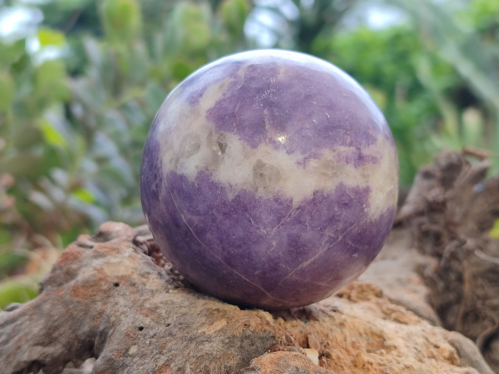 Polished Lepidolite Sphere's x 4 From Zimbabwe - Toprock Gemstones and Minerals 