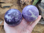 Polished Lepidolite Sphere's x 4 From Zimbabwe - Toprock Gemstones and Minerals 