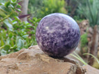 Polished Lepidolite Sphere's x 4 From Zimbabwe - Toprock Gemstones and Minerals 