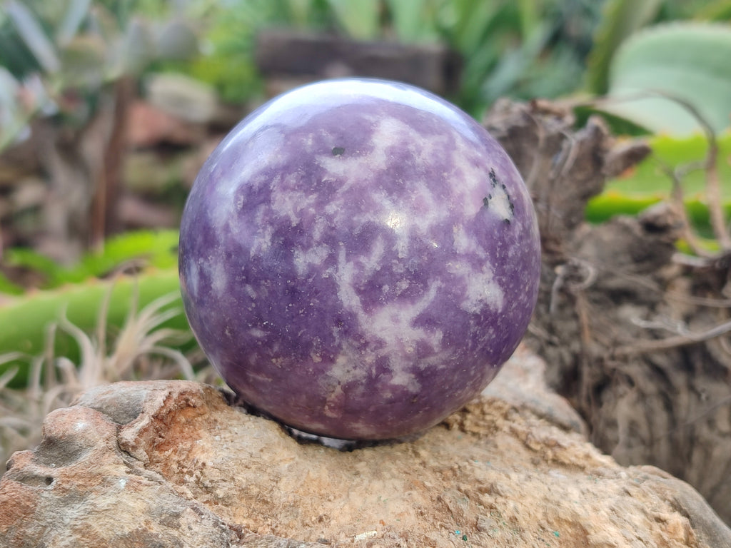 Polished Lepidolite Sphere's x 4 From Zimbabwe - Toprock Gemstones and Minerals 