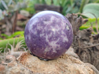 Polished Lepidolite Sphere's x 4 From Zimbabwe - Toprock Gemstones and Minerals 