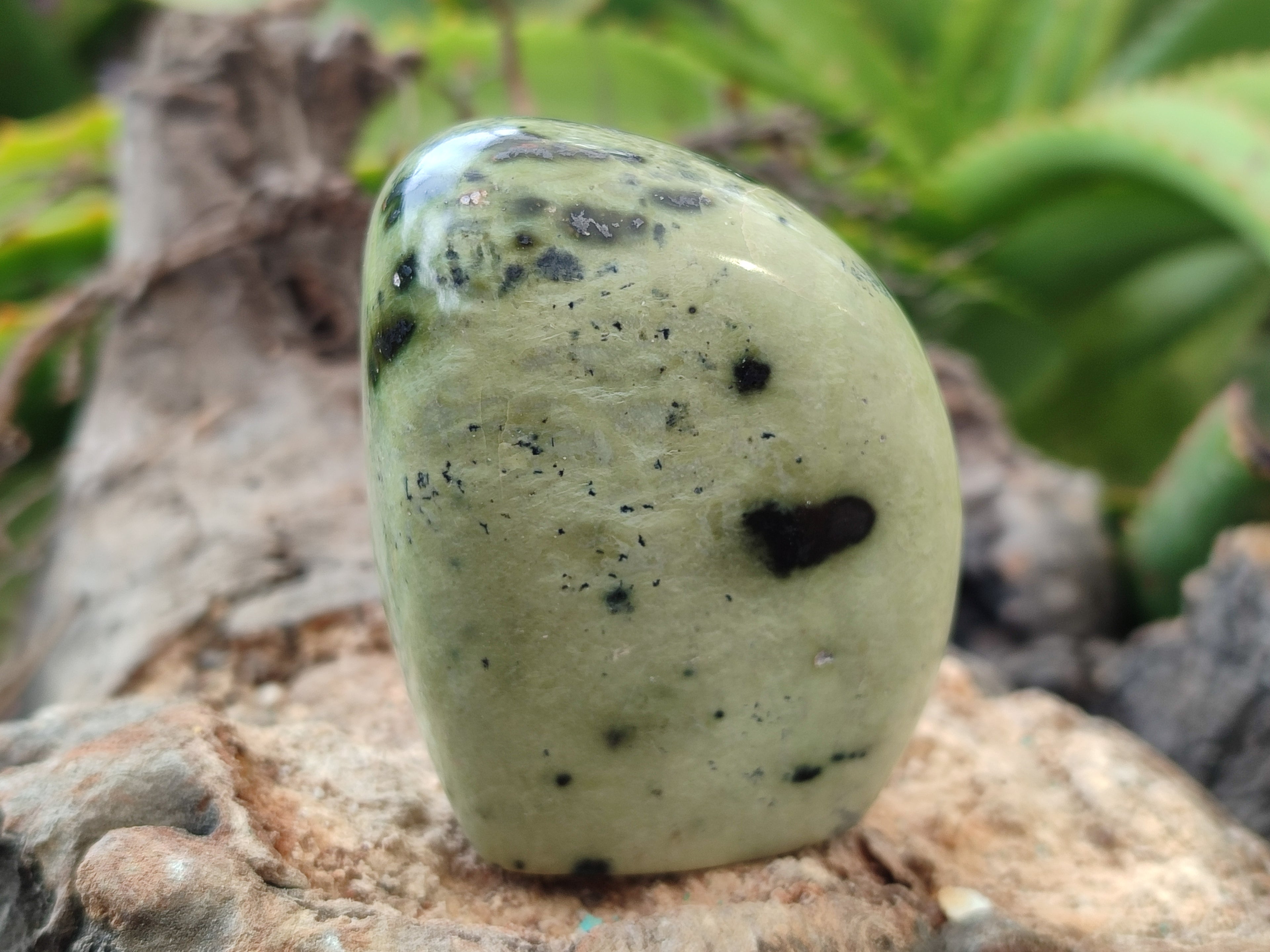 Natural Amethystos Amethyst Plates x 12 From Kwaggafontein, South Africa - Toprock Gemstones and Minerals 