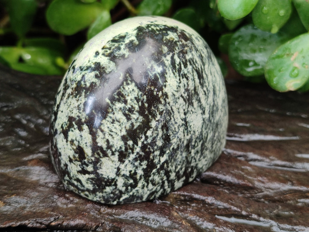 Natural Amethystos Amethyst Plates x 12 From Kwaggafontein, South Africa - Toprock Gemstones and Minerals 