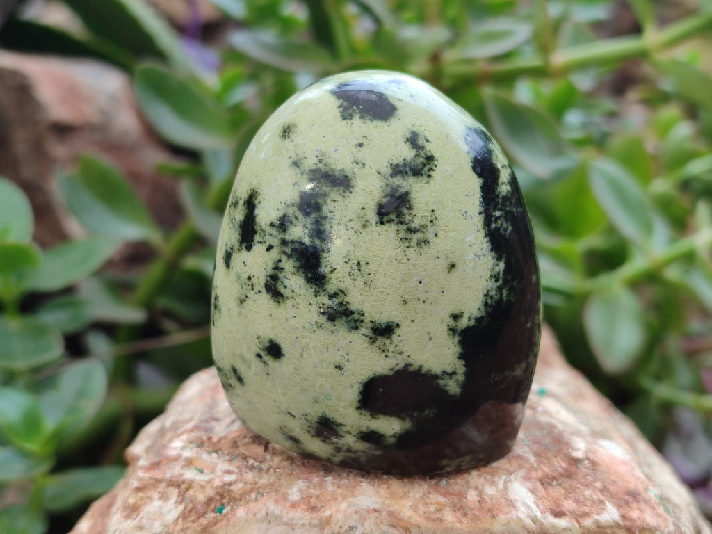 Natural Amethystos Amethyst Plates x 12 From Kwaggafontein, South Africa - Toprock Gemstones and Minerals 