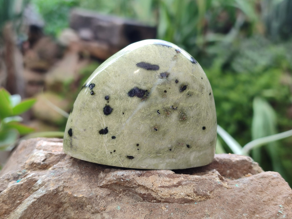 Natural Amethystos Amethyst Plates x 12 From Kwaggafontein, South Africa - Toprock Gemstones and Minerals 