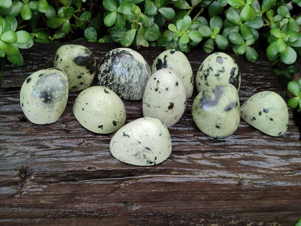 Natural Amethystos Amethyst Plates x 12 From Kwaggafontein, South Africa - Toprock Gemstones and Minerals 