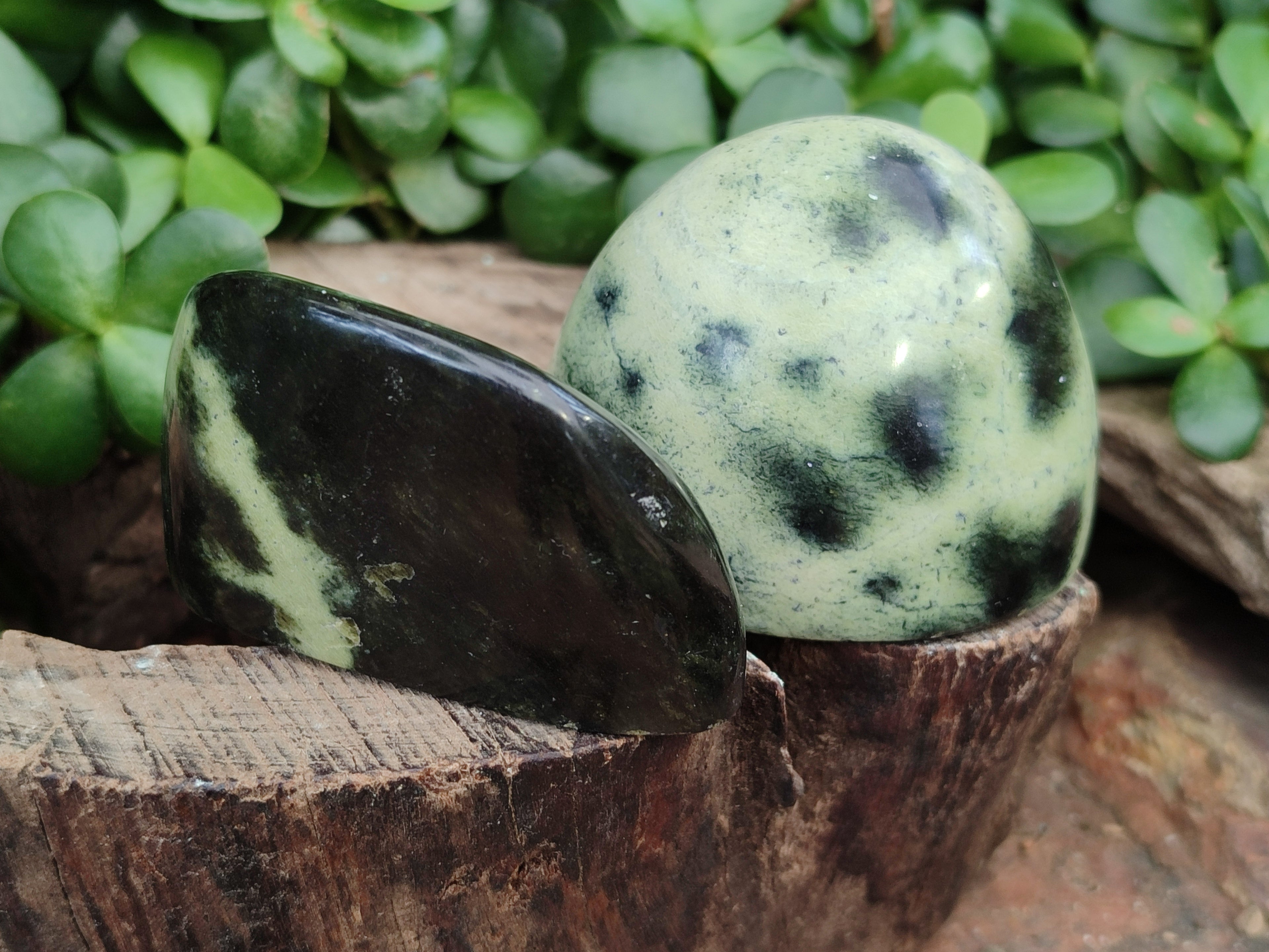 Natural Amethystos Amethyst Plates x 12 From Kwaggafontein, South Africa - Toprock Gemstones and Minerals 