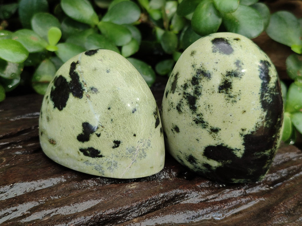 Natural Amethystos Amethyst Plates x 12 From Kwaggafontein, South Africa - Toprock Gemstones and Minerals 