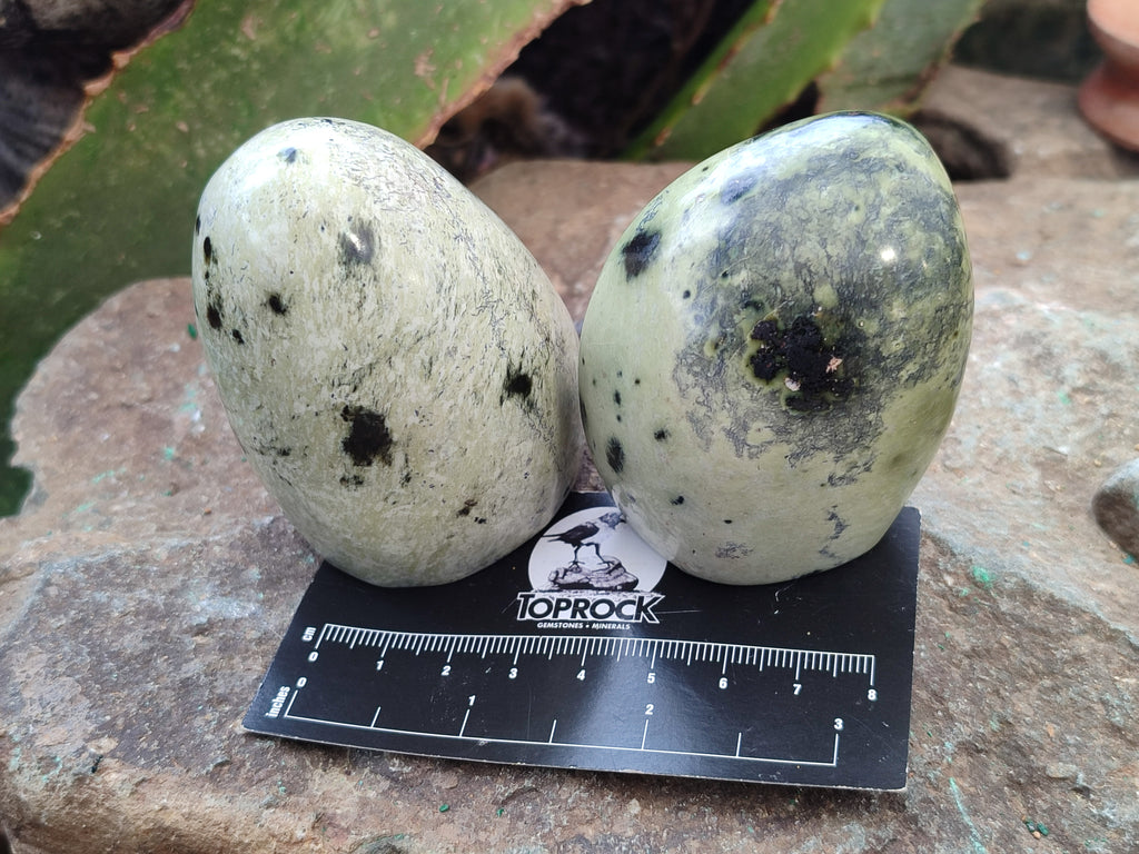 Natural Amethystos Amethyst Plates x 12 From Kwaggafontein, South Africa - Toprock Gemstones and Minerals 