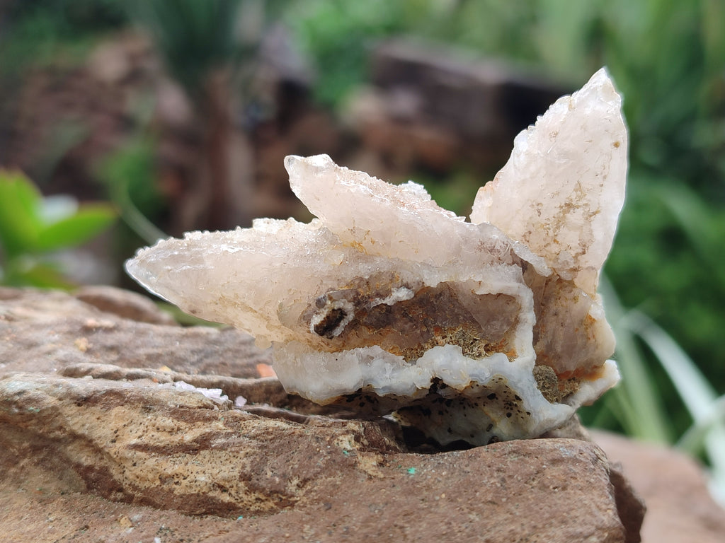 Natural Drusy Quartz Coated Calcite Pseudomorph Specimens x 35 From Alberts Mountain, Lesotho - Toprock Gemstones and Minerals 