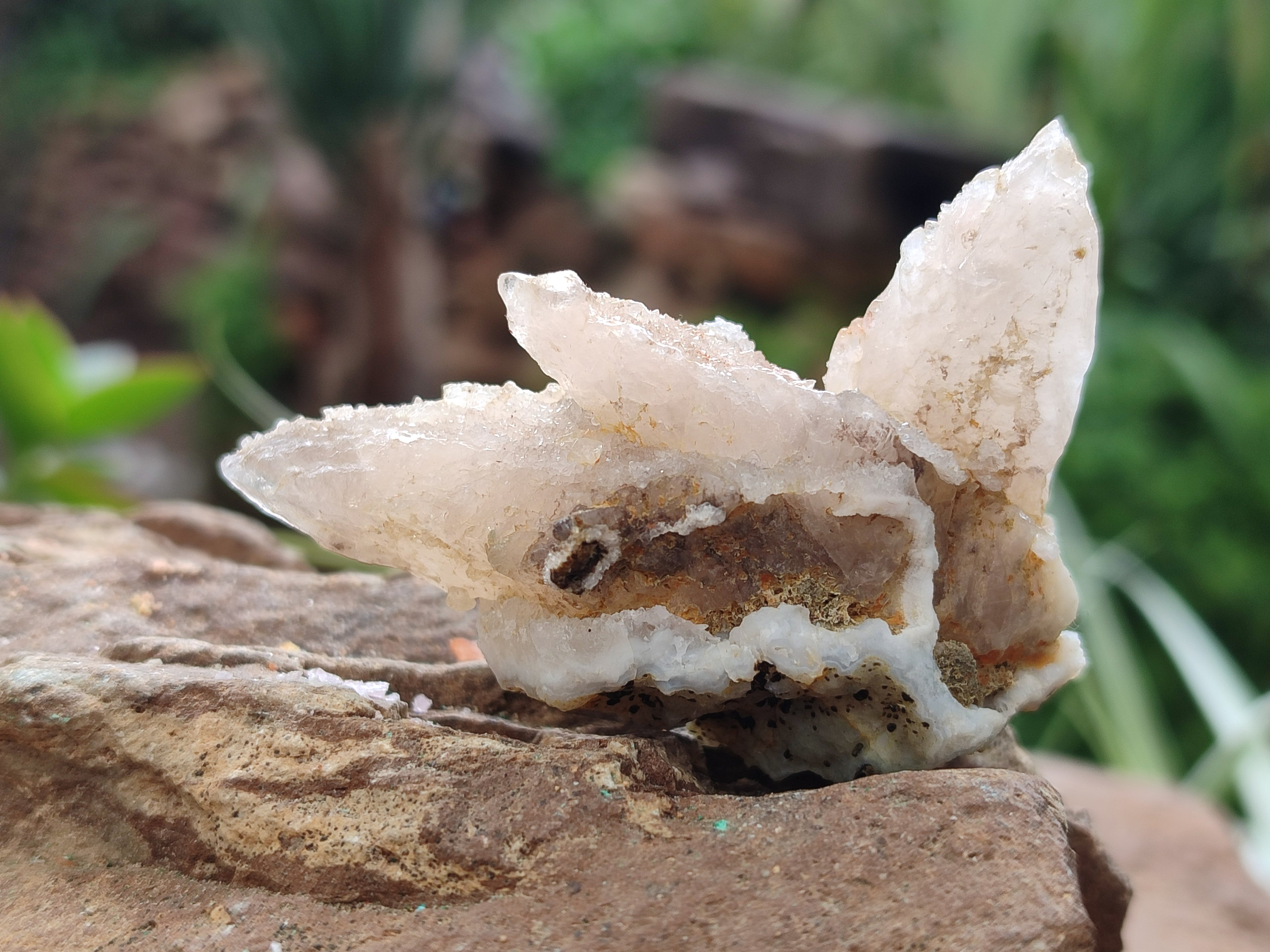 Natural Drusy Quartz Coated Calcite Pseudomorph Specimens x 35 From Alberts Mountain, Lesotho - Toprock Gemstones and Minerals 