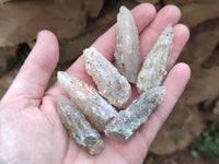 Natural Drusy Quartz Coated Calcite Pseudomorph Specimens x 35 From Alberts Mountain, Lesotho