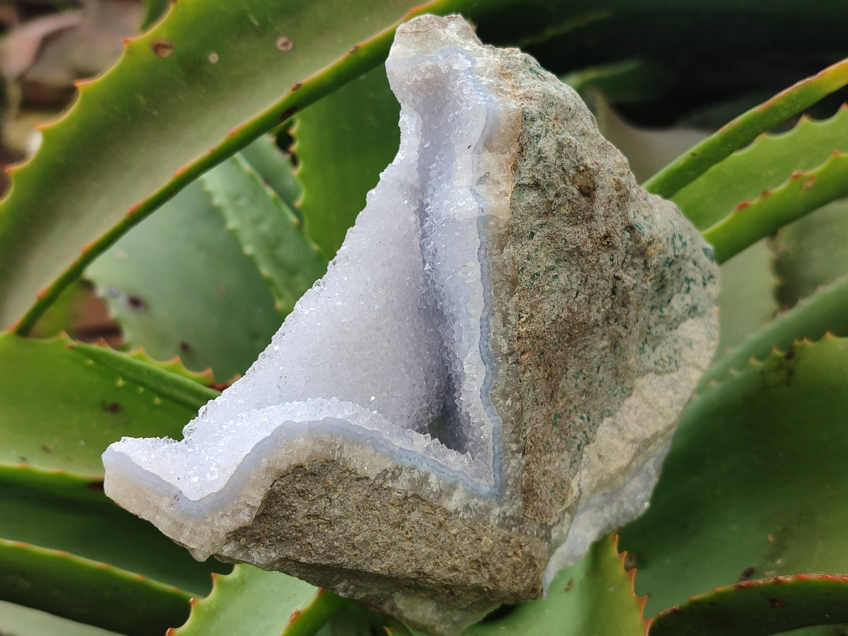 Natural Blue Lace Agate Geode Specimens x 4 From Nsanje, Malawi - Toprock Gemstones and Minerals 