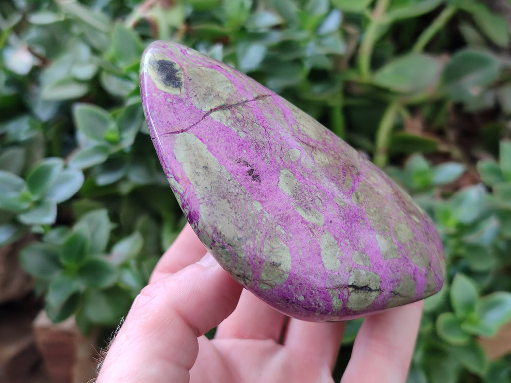 Polished Stichtite Standing Free Forms x 4 From Barberton, South Africa - Toprock Gemstones and Minerals 