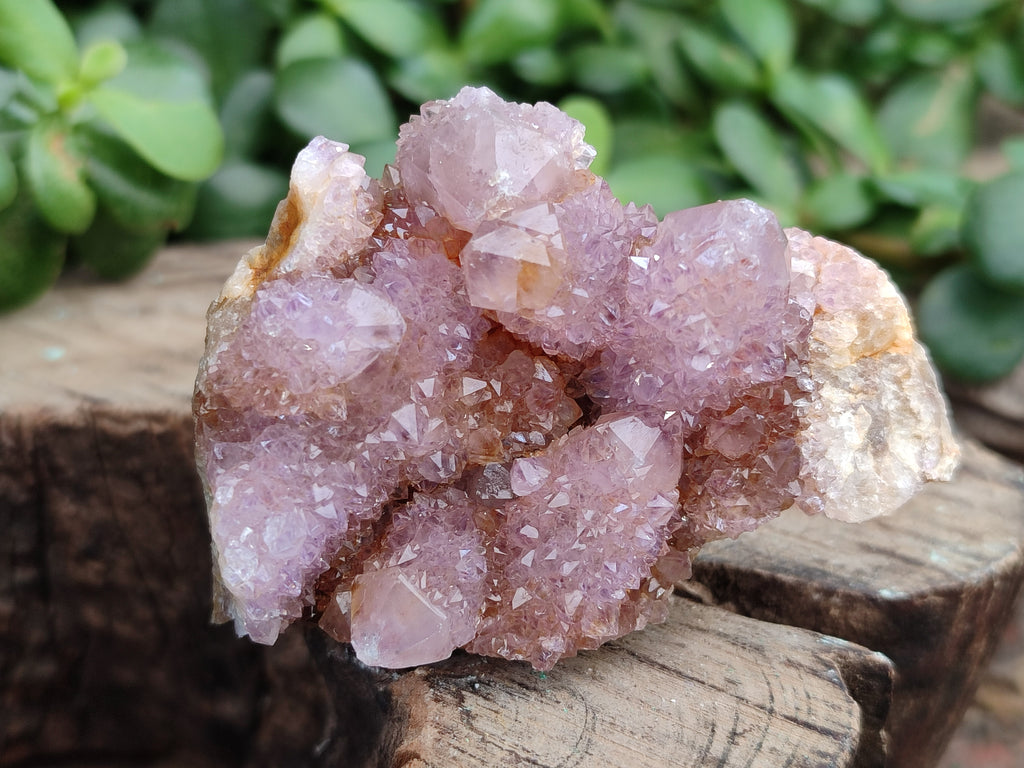 Natural Ametrine Spirit Quartz Clusters x 12 From Boekenhouthoek, South Africa - Toprock Gemstones and Minerals 