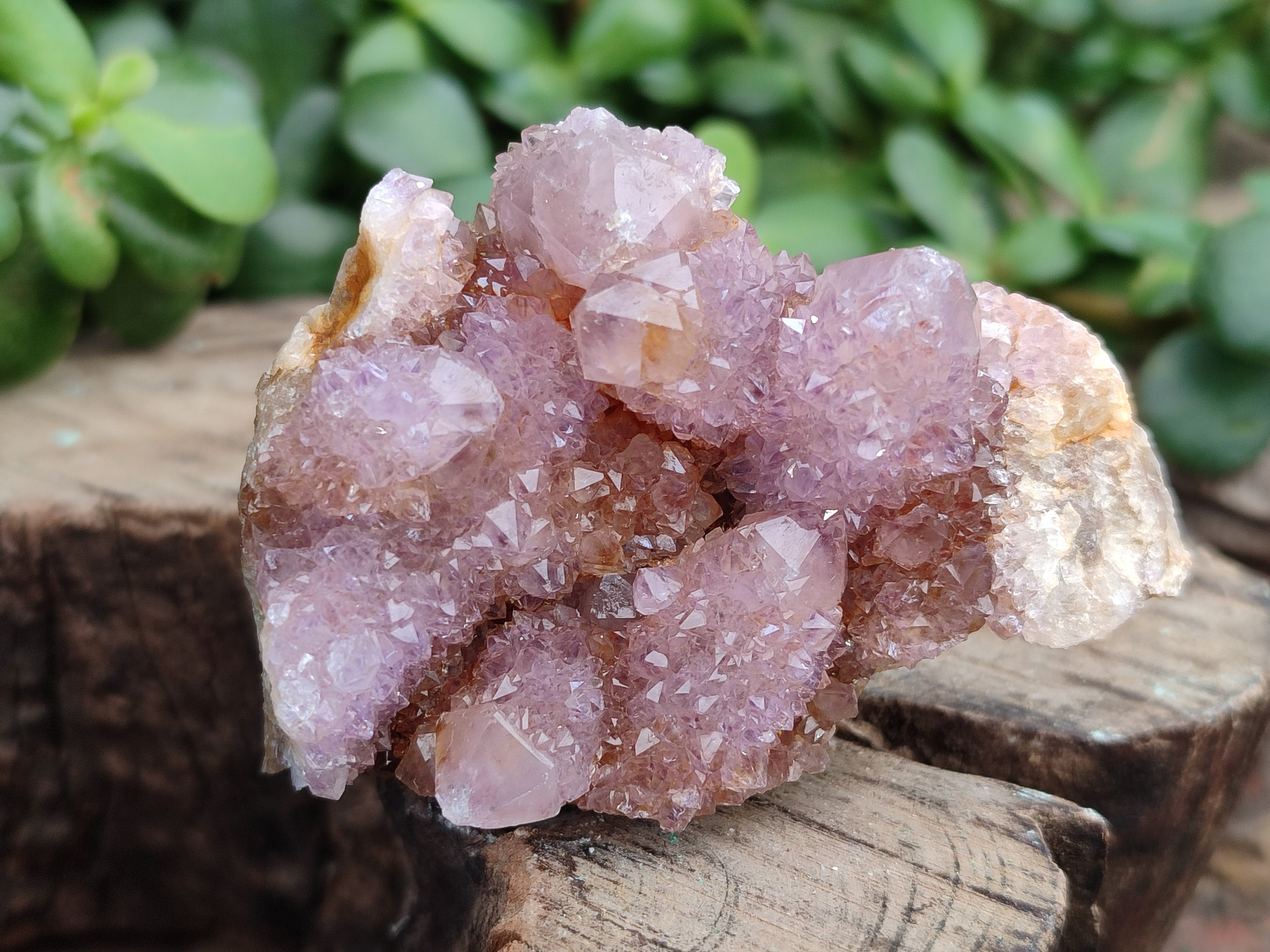 Natural Ametrine Spirit Quartz Clusters x 12 From Boekenhouthoek, South Africa - Toprock Gemstones and Minerals 