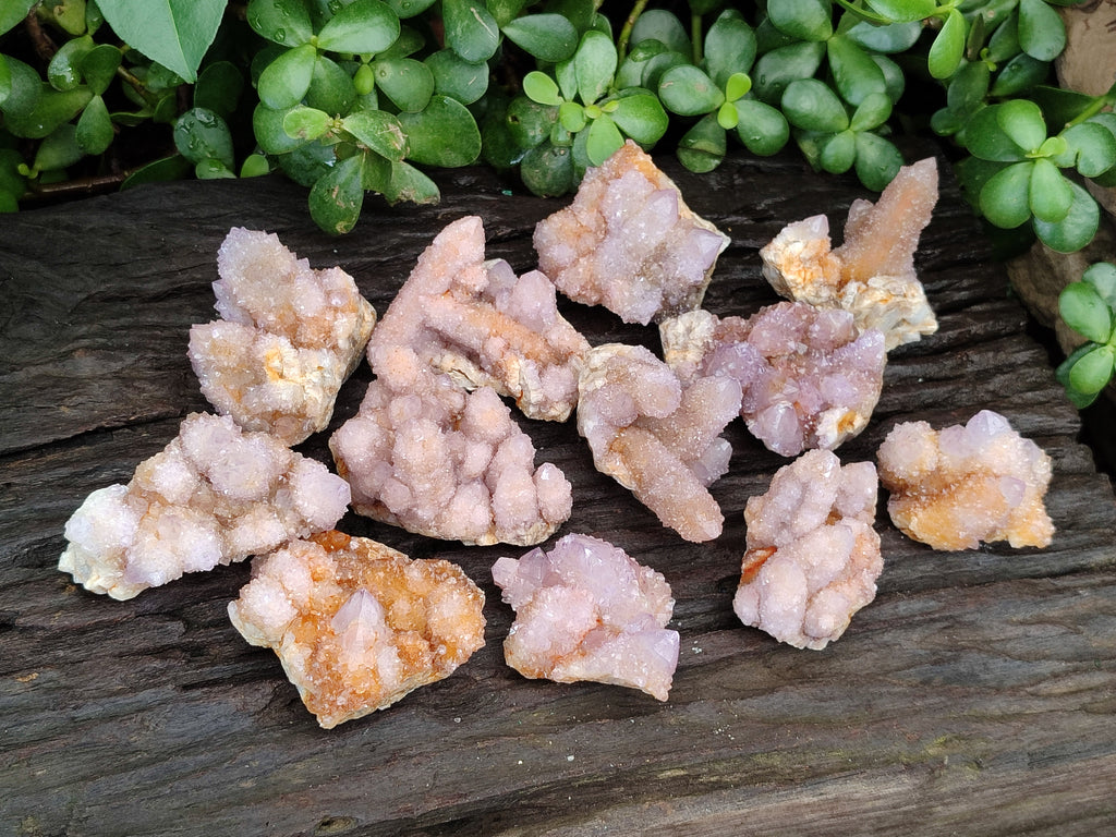 Natural Ametrine Spirit Quartz Clusters x 12 From Boekenhouthoek, South Africa - Toprock Gemstones and Minerals 