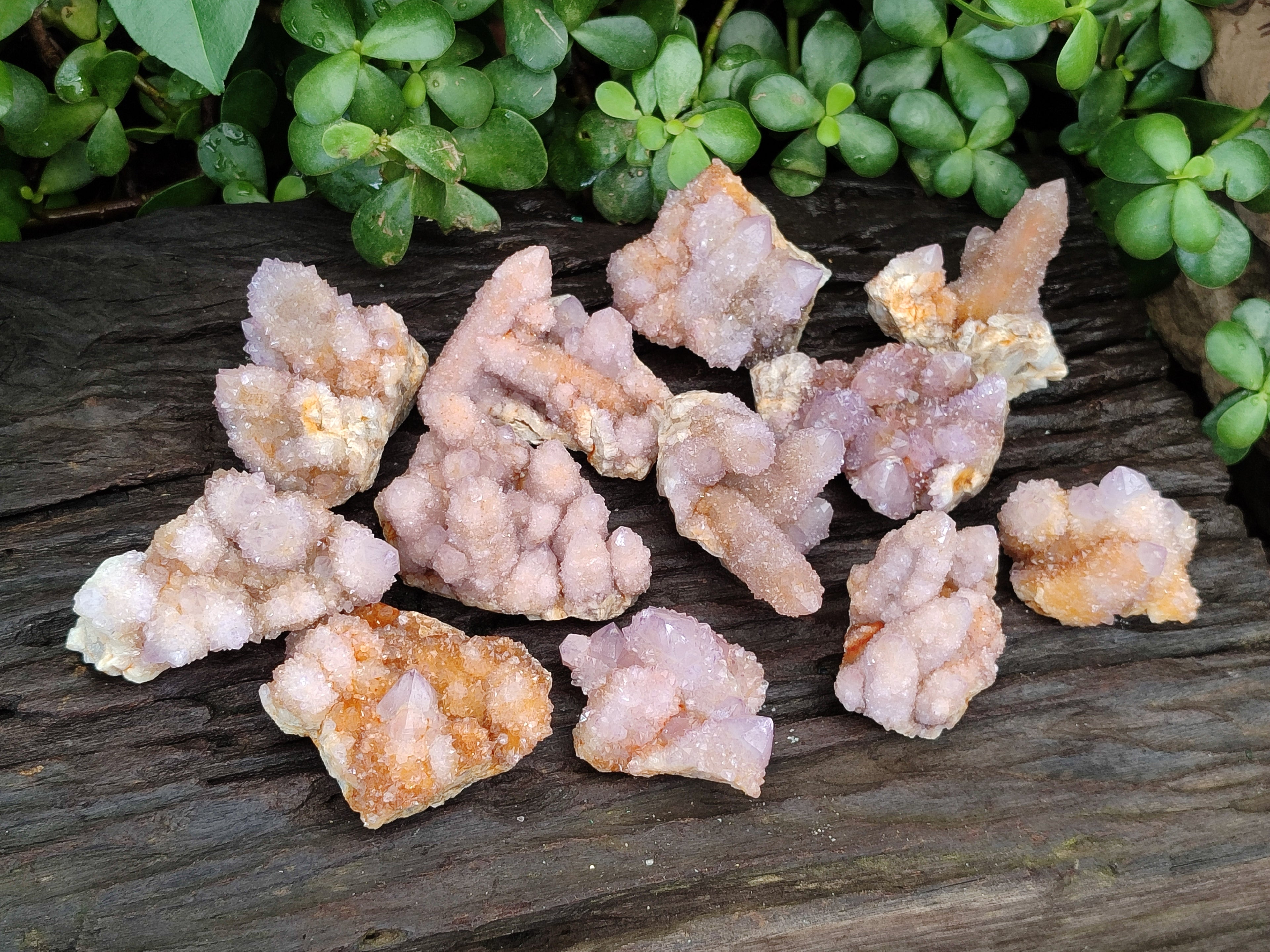 Natural Ametrine Spirit Quartz Clusters x 12 From Boekenhouthoek, South Africa - Toprock Gemstones and Minerals 