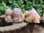 Natural Ametrine Spirit Quartz Clusters x 12 From Boekenhouthoek, South Africa - Toprock Gemstones and Minerals 
