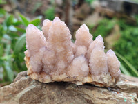 Natural Ametrine Spirit Quartz Clusters x 12 From Boekenhouthoek, South Africa