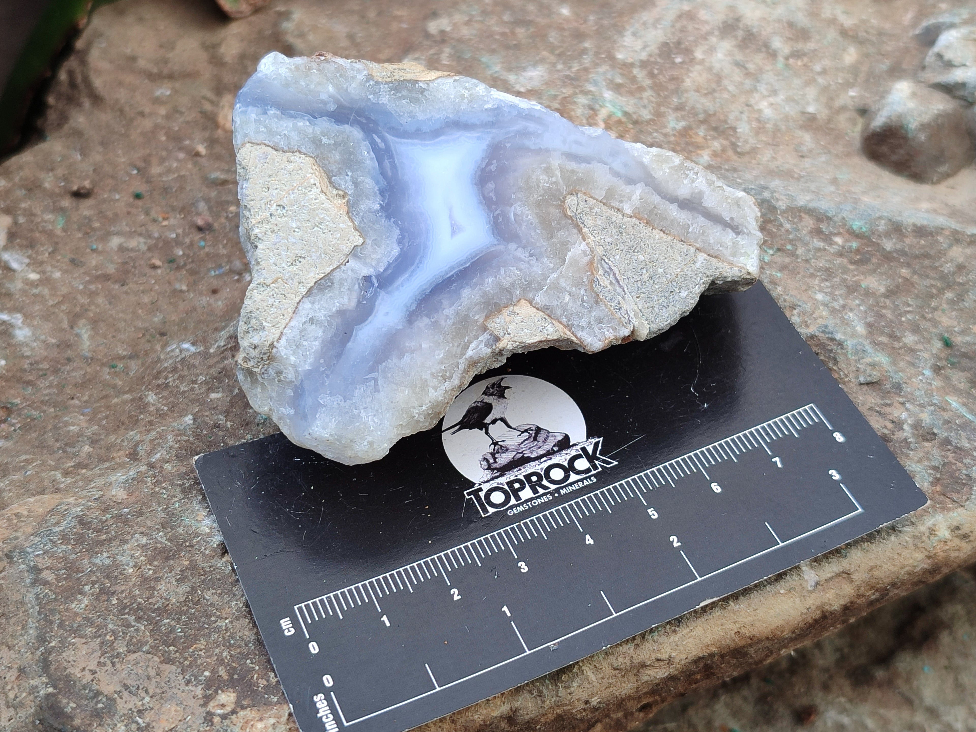 Polished On One Side Blue Lace Agate Geodes x 12 From Nsanje, Malawi - Toprock Gemstones and Minerals 