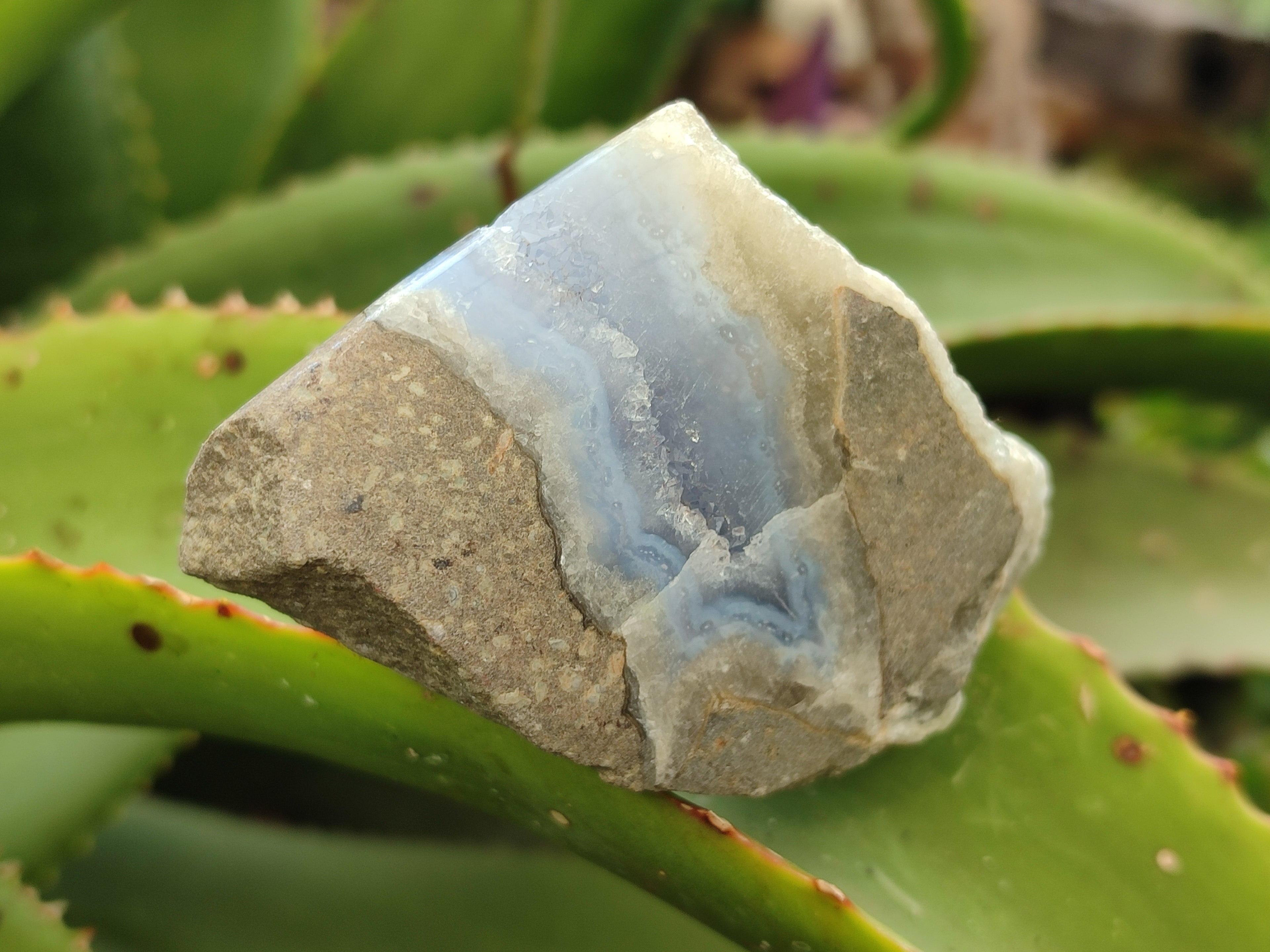 Polished On One Side Blue Lace Agate Geodes x 12 From Nsanje, Malawi - Toprock Gemstones and Minerals 