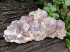 Natural Ametrine Spirit Quartz Clusters x 2 From Boekenhouthoek, South Africa - Toprock Gemstones and Minerals 