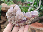 Natural Ametrine Spirit Quartz Clusters x 2 From Boekenhouthoek, South Africa - Toprock Gemstones and Minerals 