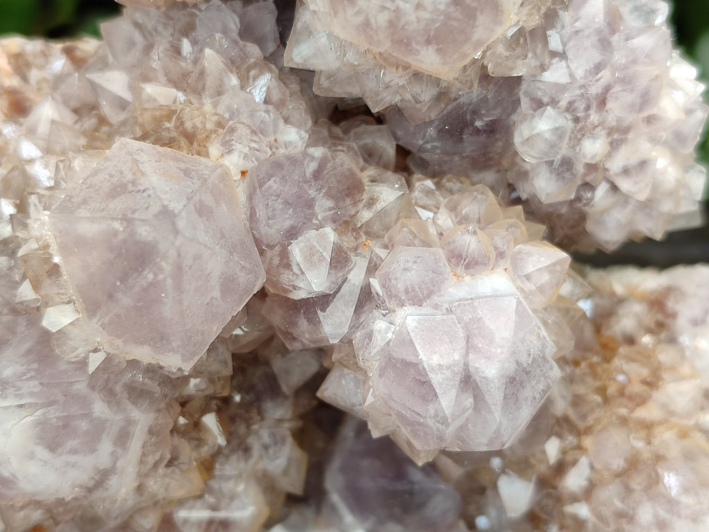 Natural Ametrine Spirit Quartz Clusters x 2 From Boekenhouthoek, South Africa - Toprock Gemstones and Minerals 