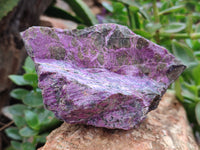 Natural Stichtite Cobbed Specimens x 4 From Barberton, South Africa - Toprock Gemstones and Minerals 