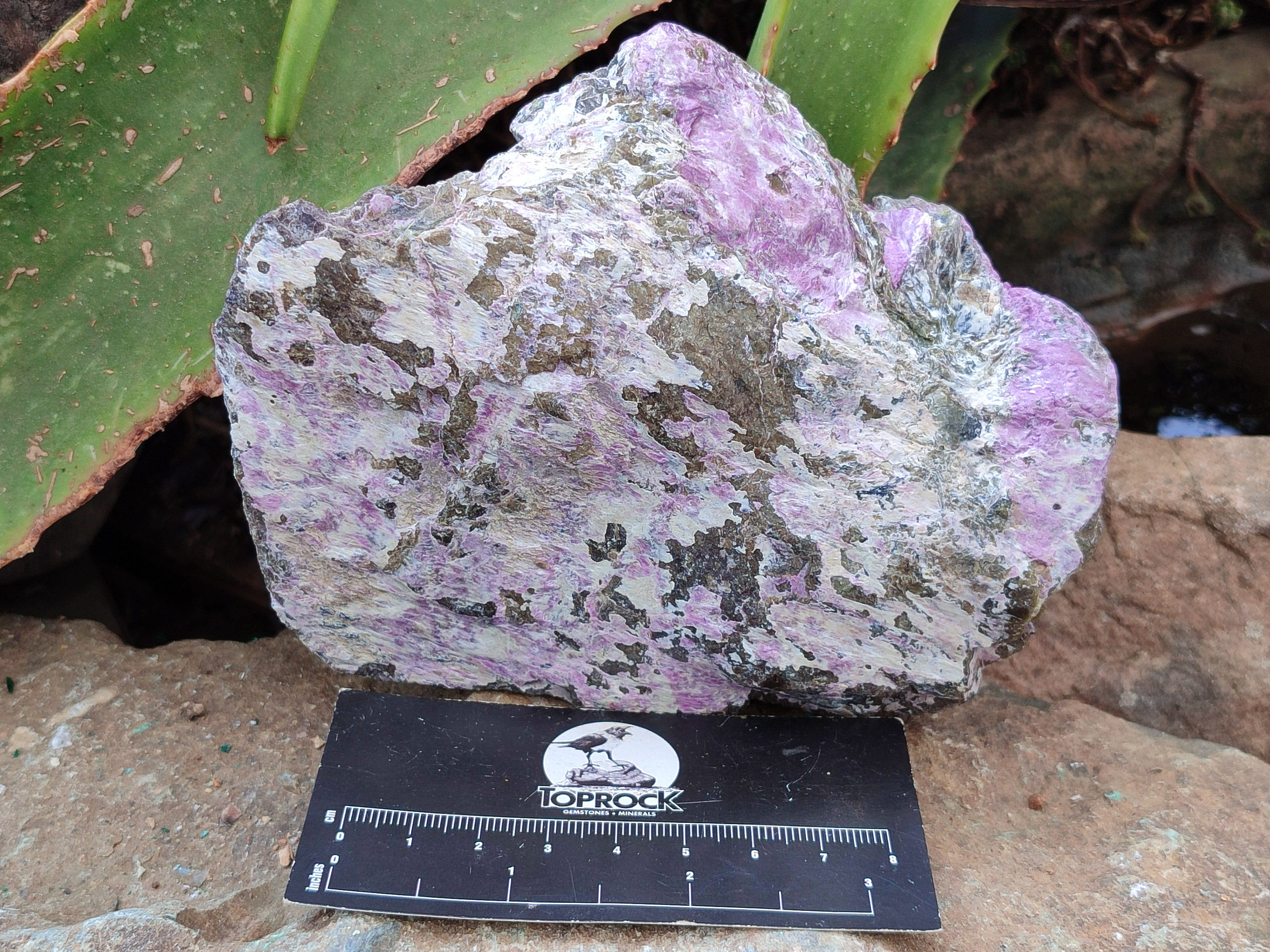 Natural Stichtite Cobbed Specimens x 4 From Barberton, South Africa - Toprock Gemstones and Minerals 