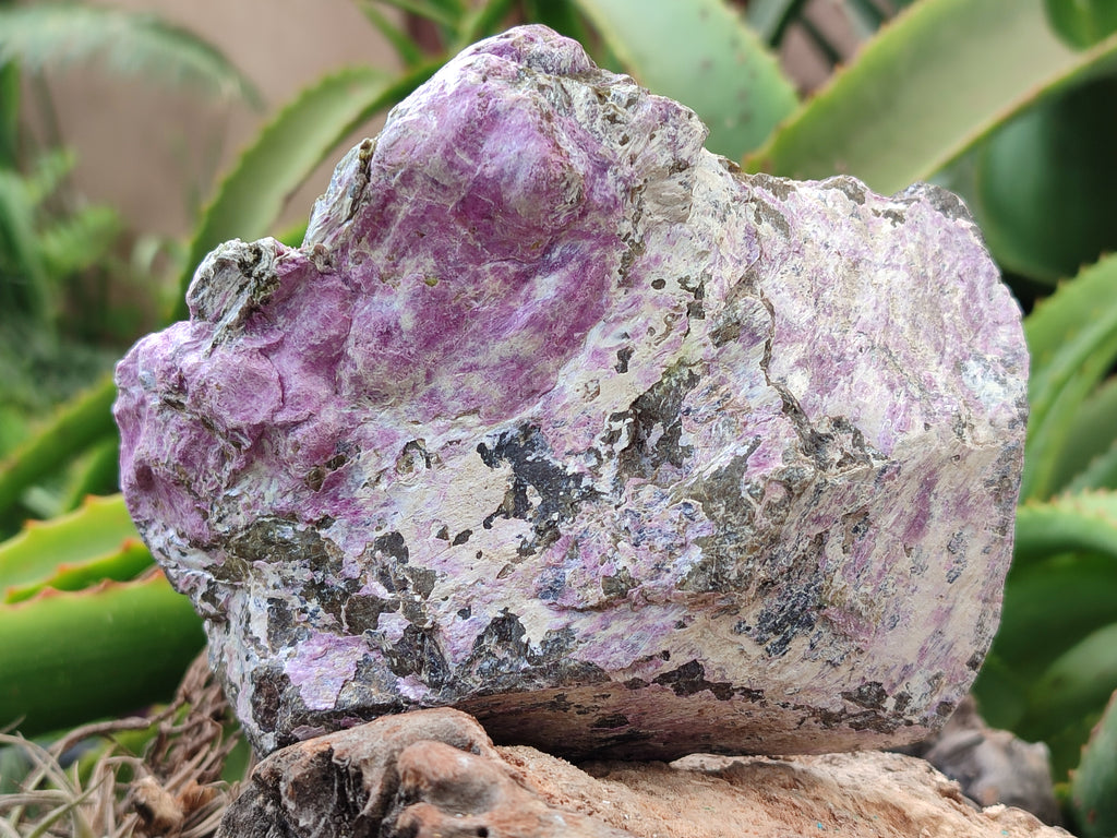 Natural Stichtite Cobbed Specimens x 4 From Barberton, South Africa - Toprock Gemstones and Minerals 