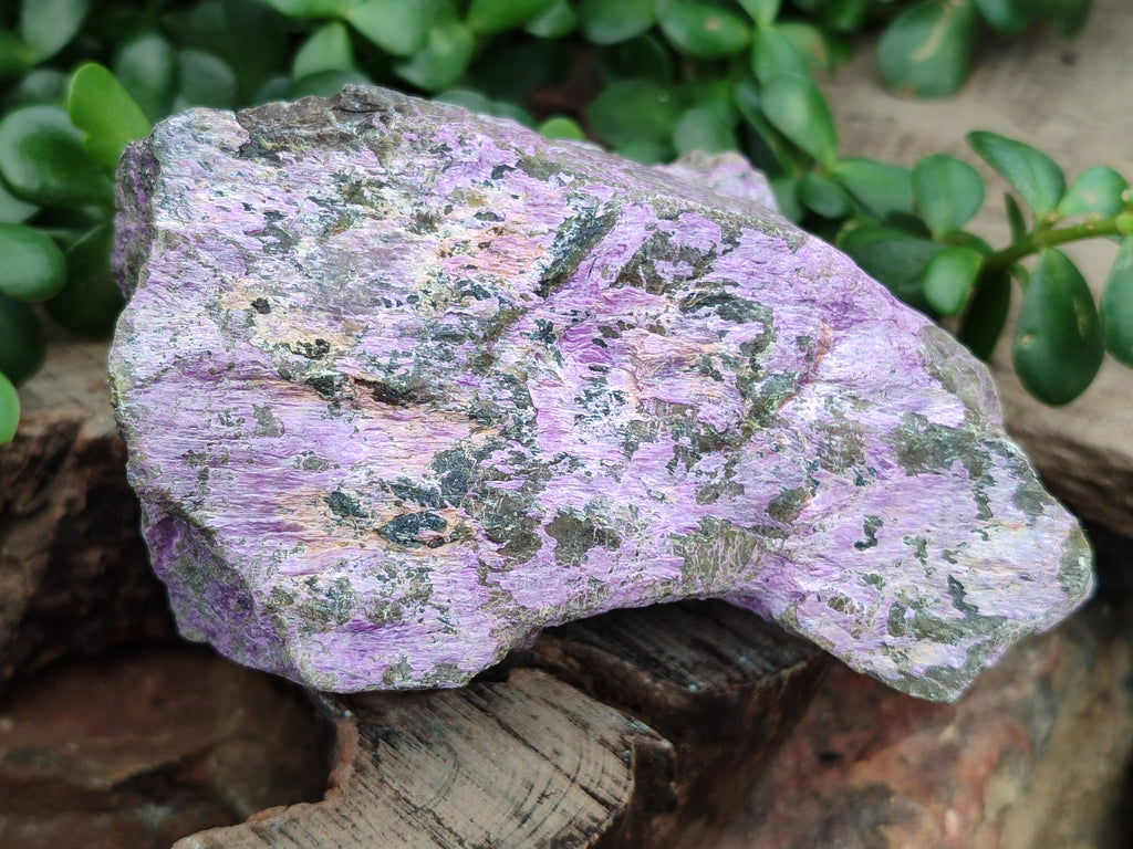 Natural Stichtite Cobbed Specimens x 4 From Barberton, South Africa - Toprock Gemstones and Minerals 