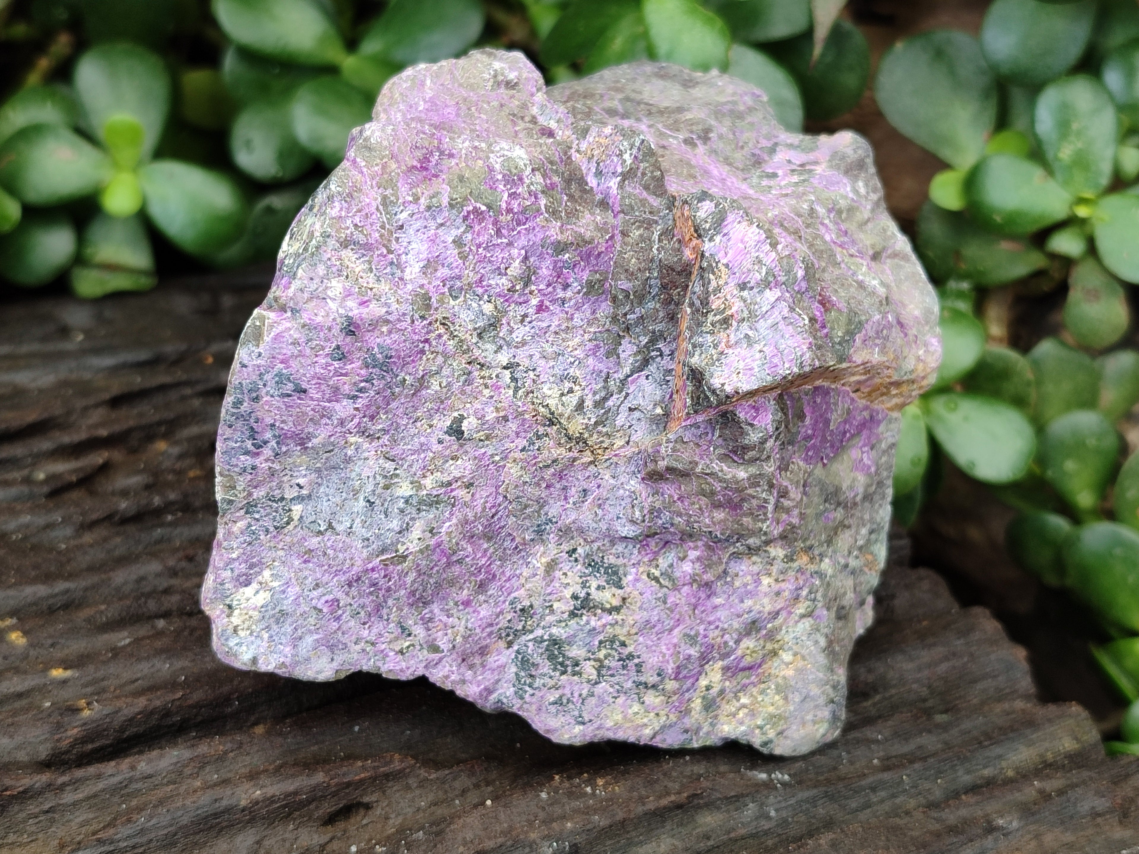 Natural Stichtite Cobbed Specimens x 4 From Barberton, South Africa - Toprock Gemstones and Minerals 
