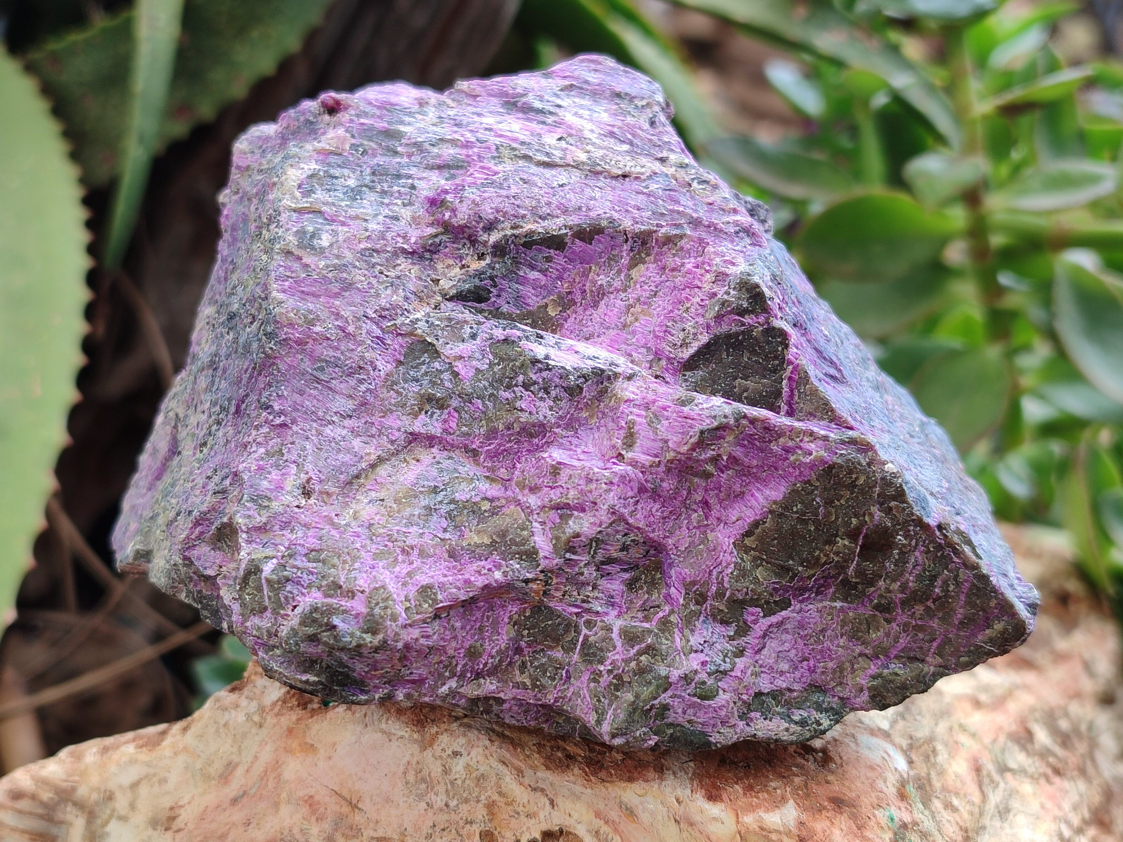 Natural Stichtite Cobbed Specimens x 4 From Barberton, South Africa - Toprock Gemstones and Minerals 