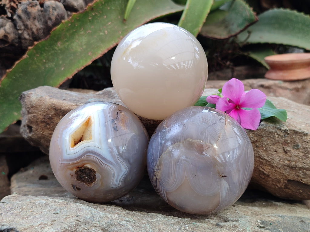 Polished Banded Agate Spheres x 3 From Madagascar - Toprock Gemstones and Minerals 