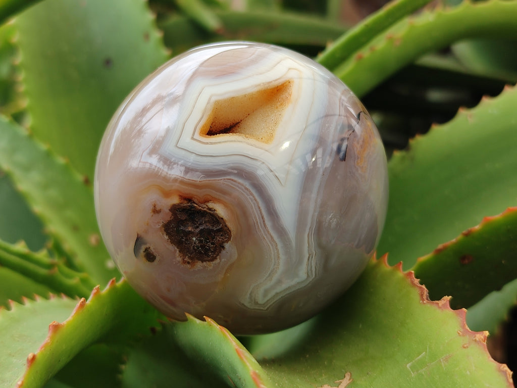 Polished Banded Agate Spheres x 3 From Madagascar - Toprock Gemstones and Minerals 