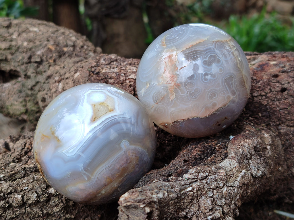 Polished Banded Agate Spheres x 3 From Madagascar - Toprock Gemstones and Minerals 