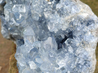 Natural Celestite Geode Specimens x 1 From Sakoany, Madagascar - Toprock Gemstones and Minerals 
