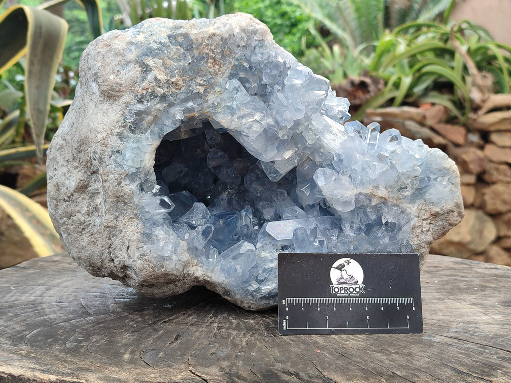 Natural Celestite Geode Specimens x 1 From Sakoany, Madagascar - Toprock Gemstones and Minerals 