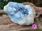 Natural Celestite Geode Specimens x 1 From Sakoany, Madagascar - Toprock Gemstones and Minerals 