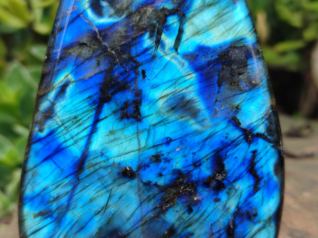 Polished Labradorite Standing Free Forms x 2 From Tulear, Madagascar - Toprock Gemstones and Minerals 