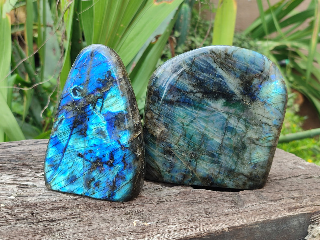 Polished Labradorite Standing Free Forms x 2 From Tulear, Madagascar - Toprock Gemstones and Minerals 