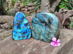 Polished Labradorite Standing Free Forms x 2 From Tulear, Madagascar - Toprock Gemstones and Minerals 