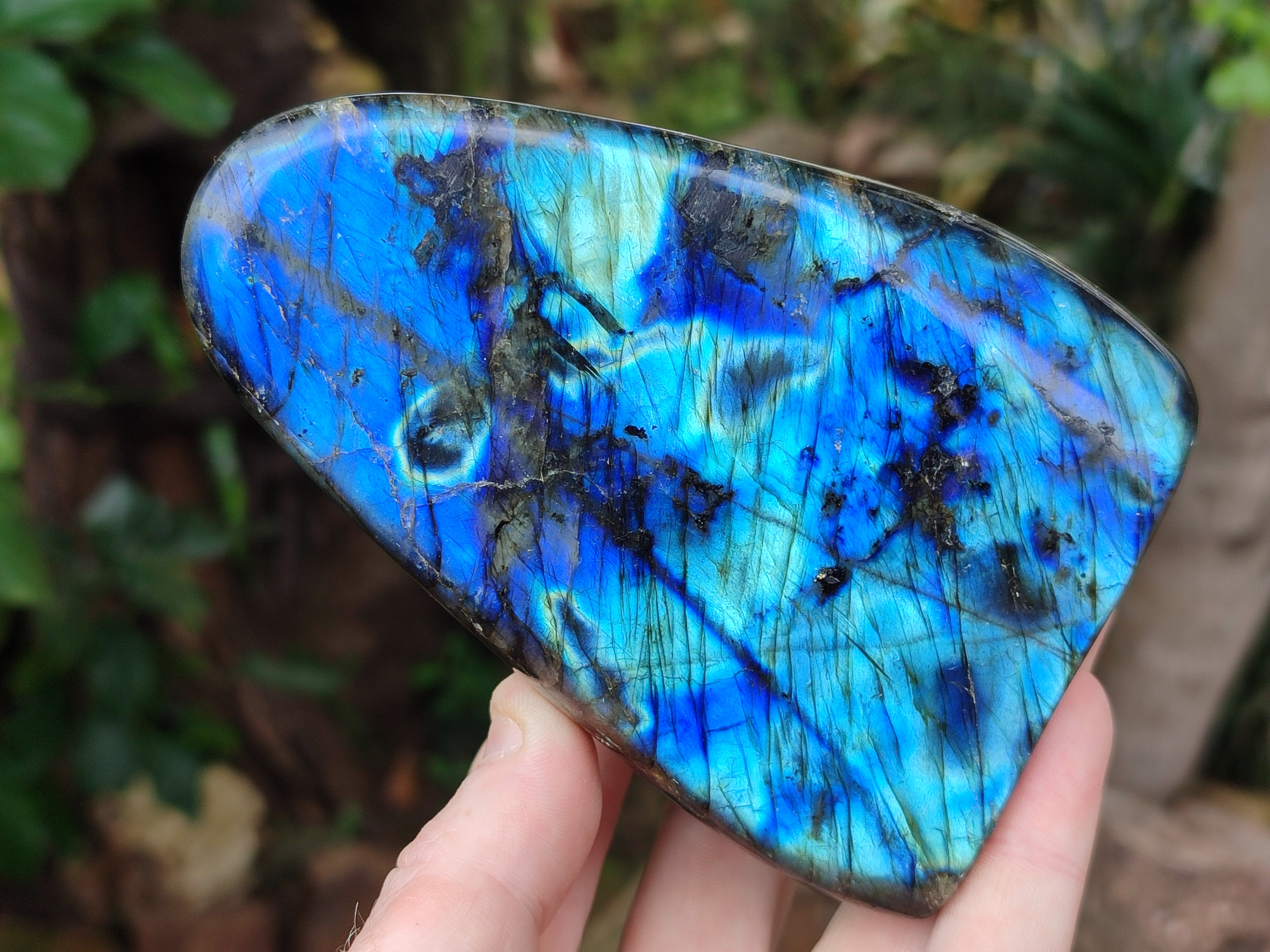Polished Labradorite Standing Free Forms x 2 From Tulear, Madagascar - Toprock Gemstones and Minerals 