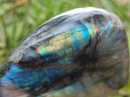 Polished Labradorite Standing Free Forms x 2 From Tulear, Madagascar - Toprock Gemstones and Minerals 