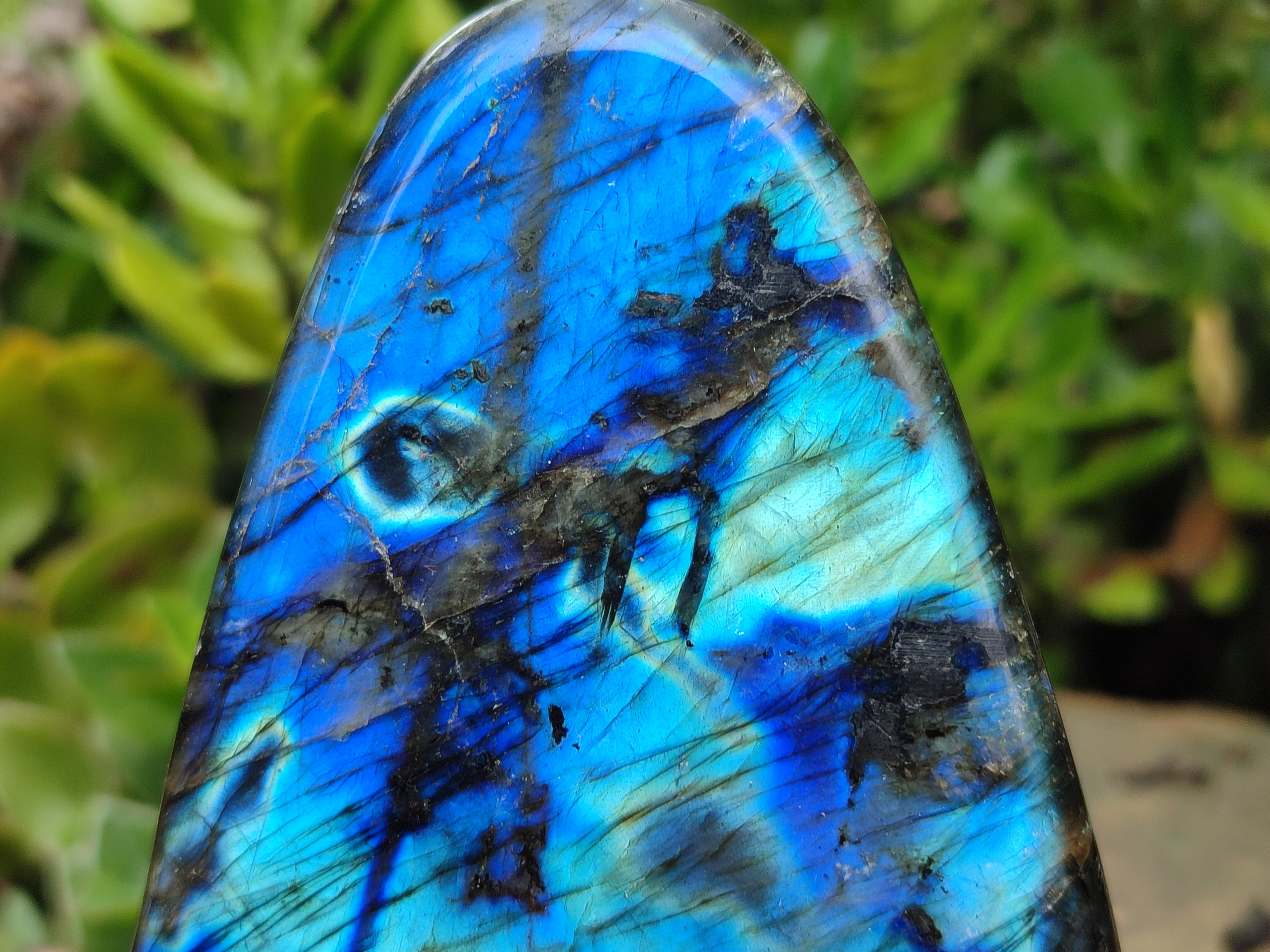Polished Labradorite Standing Free Forms x 2 From Tulear, Madagascar - Toprock Gemstones and Minerals 